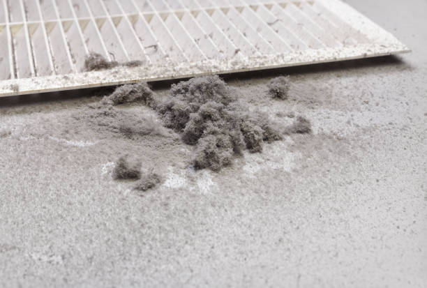 Best Home Air Vent Cleaning  in Matheny, CA